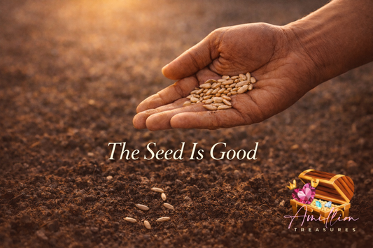 THE PARABLE OF THE SOWER: DAY 1. The Seed Does Not Change