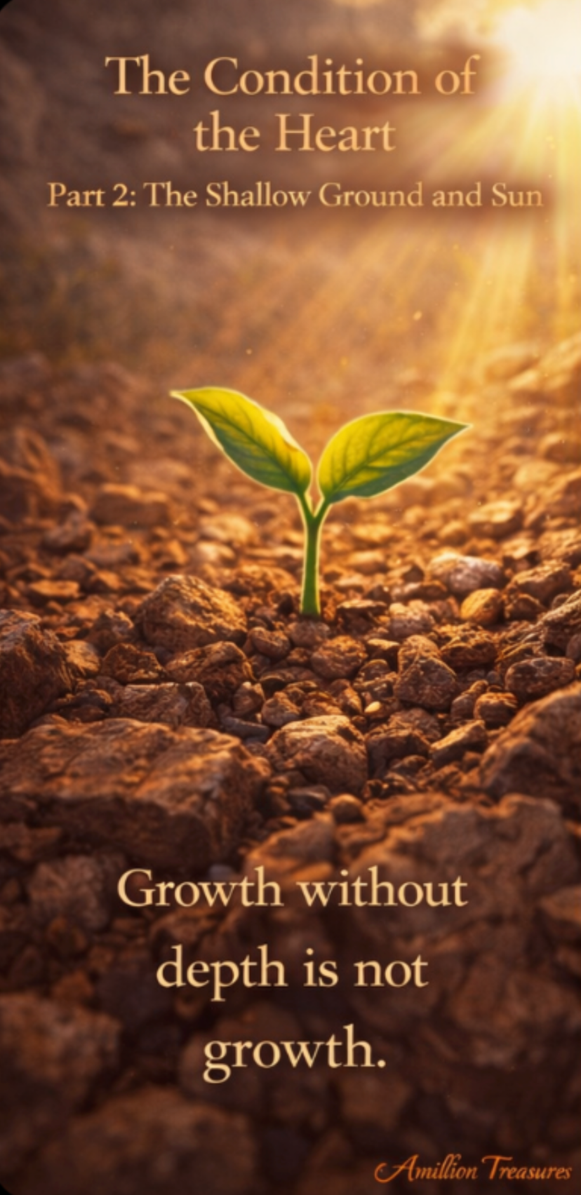 Series: The Condition of the Heart Part 2: The Shallow Ground and the Sun